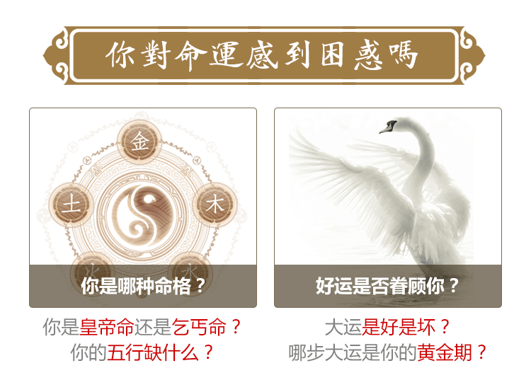 八字综合详批报告内容 1