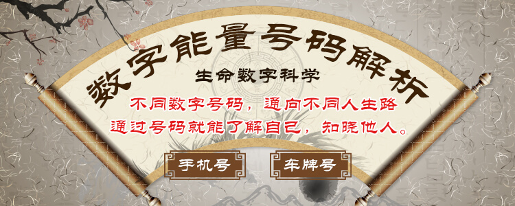 号码解析示意