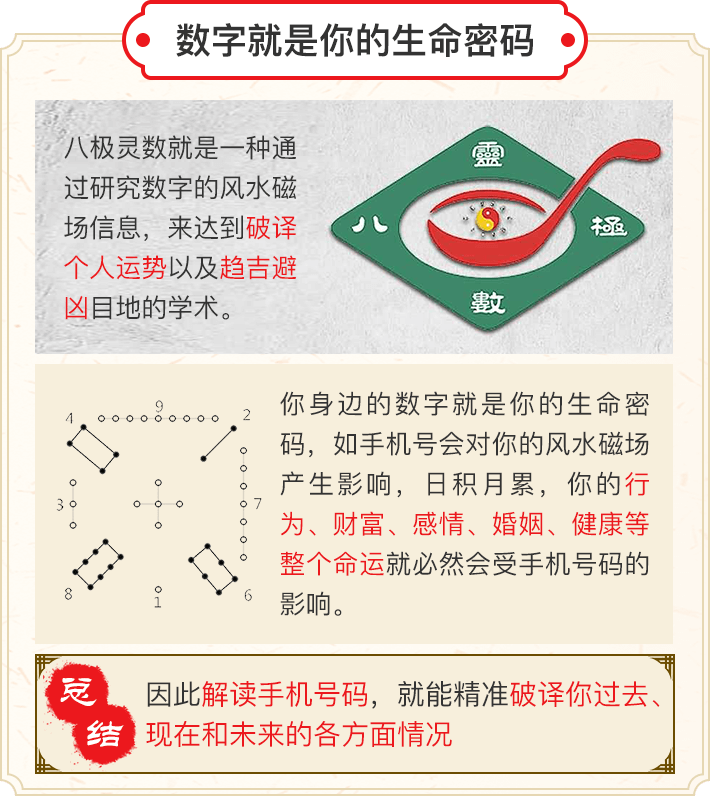 号码解析报告内容 1