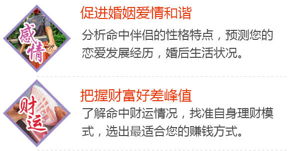 紫微斗数报告内容 1