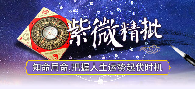 紫微斗数示意